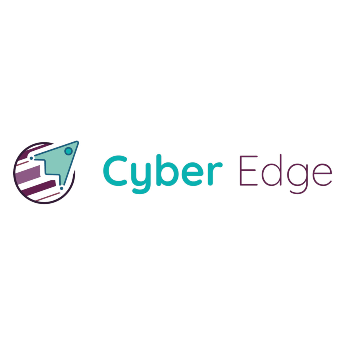 Client 3 Logo
